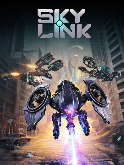 Sky Link cover