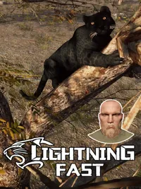 Lightning Fast cover