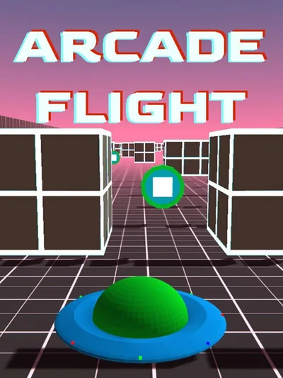 Arcade Flight