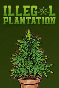 Illegal Plantation cover