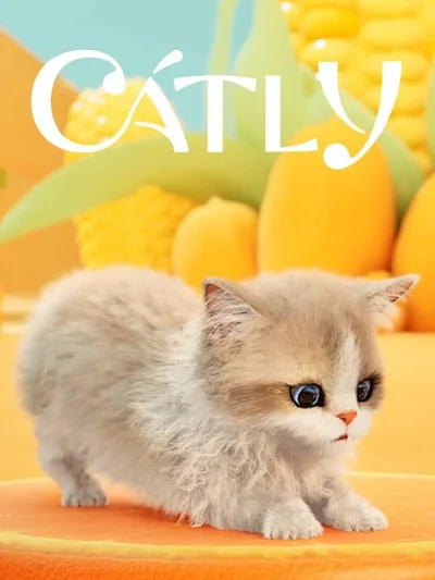 Catly cover
