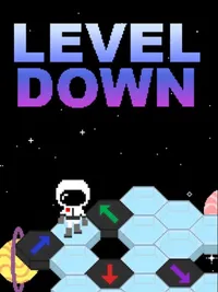 Level Down cover