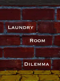 Laundry Room Dilemma cover