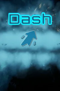 Dash cover