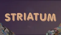 Striatum cover