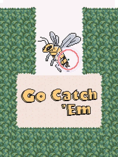 Go Catch 'Em cover