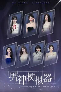 Mr Right Simulator cover