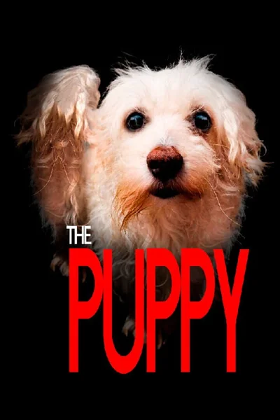 The Puppy