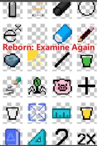 Reborn: Examine Again cover