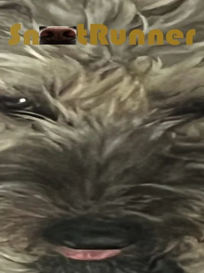 Snoot Runner cover