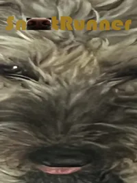 Snoot Runner cover