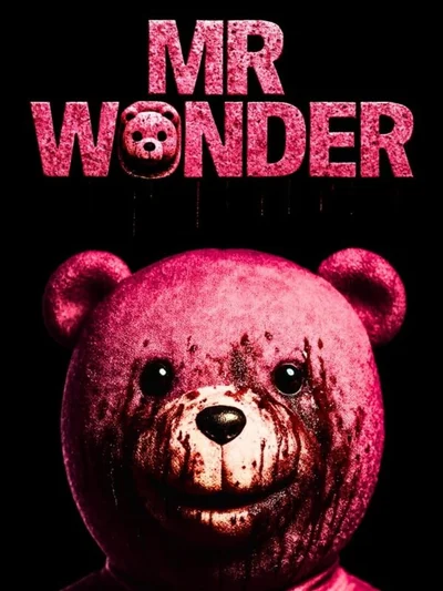 Mr Wonder cover