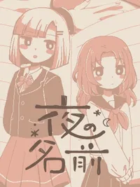 The Name of the Night cover