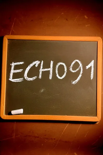 Echo 91 cover