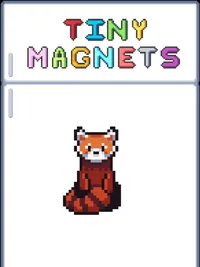 Tiny Magnets cover