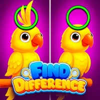 Find Difference cover