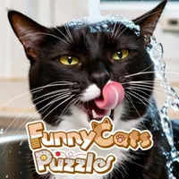 Funny Cats Puzzle cover
