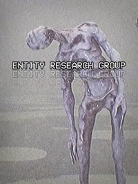 Entity Research Group cover