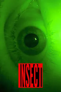 Insect cover
