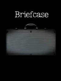 Briefcase cover