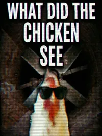 What Did the Chicken See cover