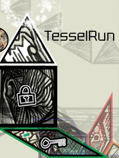 Tessel Run cover