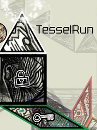 Tessel Run cover