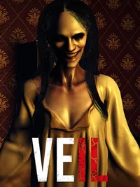 Veil cover