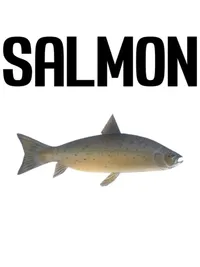 Salmon cover