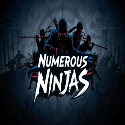 Numerous Ninjas cover