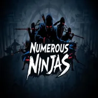 Numerous Ninjas cover