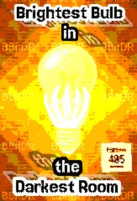 Brightest Bulb in the Darkest Room cover
