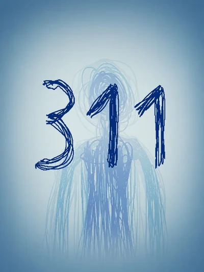 311 cover